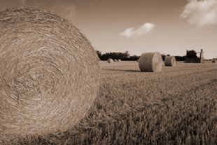 straw bales fbs header